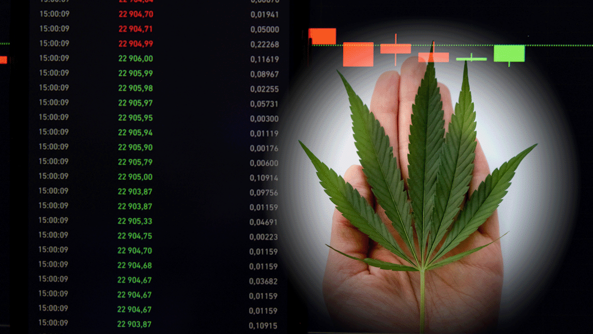 Cannabis Stocks For June Watchlist