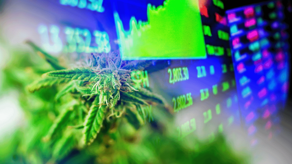 Cannabis Stocks For Watchlist In May