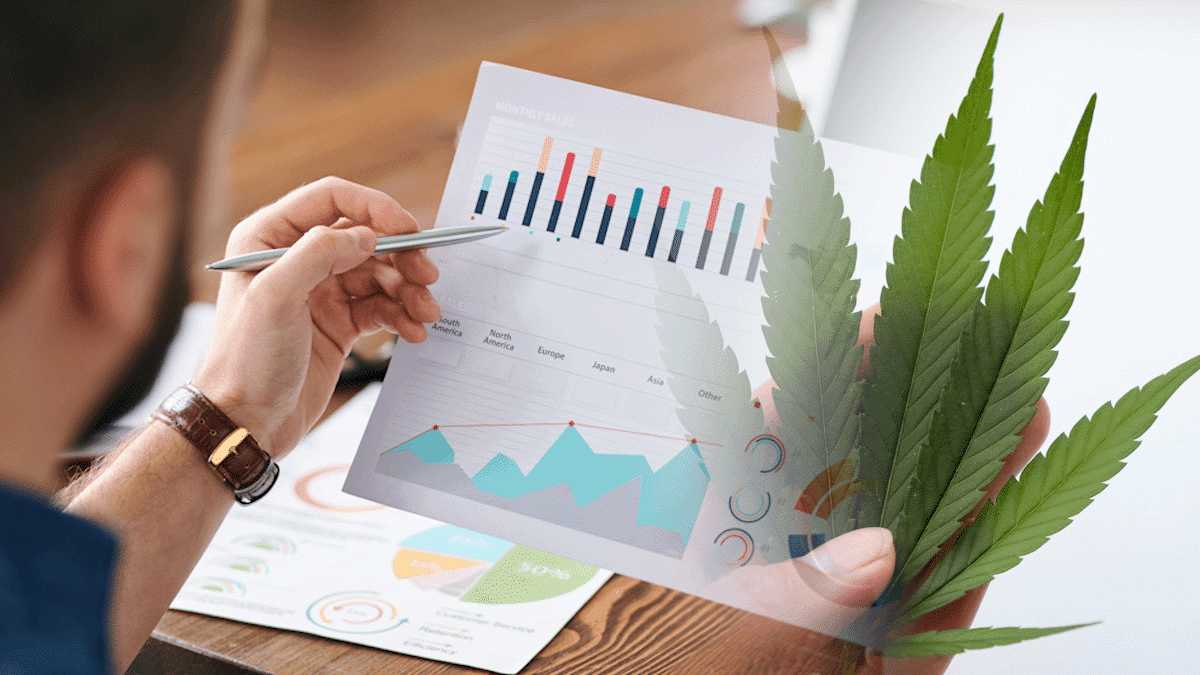 Top Cannabis Stocks To Watch In May