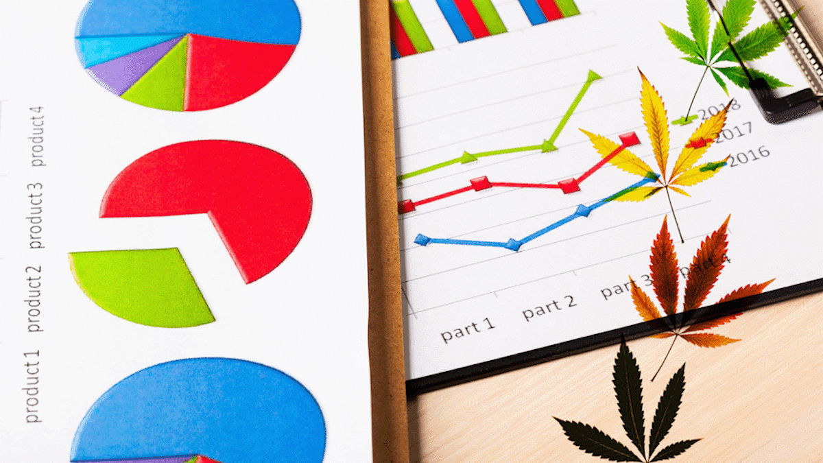 Best Canadian Cannabis Stocks and Trading Opportunities in 2023