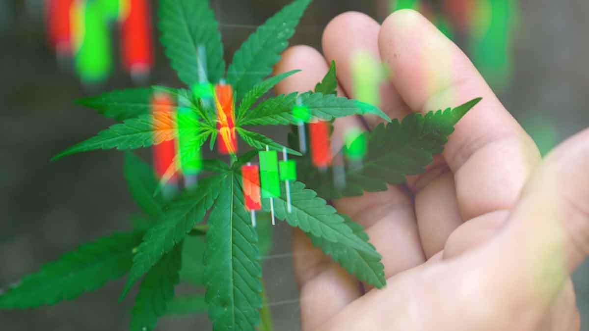 Marijuana Penny Stocks Take Off in June 2023: Uncovering Lucrative Opportunities