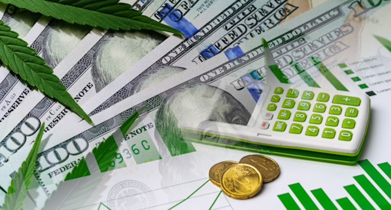 The Thrill of the Penny: Investing in Marijuana Stocks Under $1 for Potential Gains