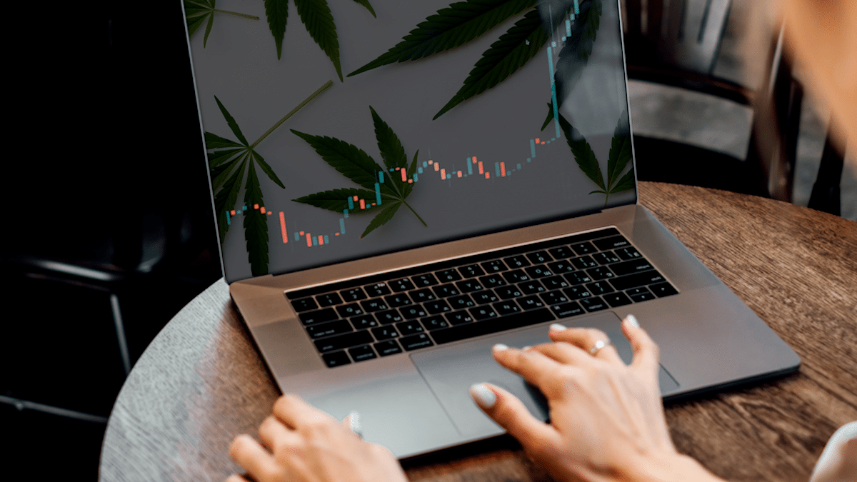 Canadian Cannabis Stocks with Growth Potential in June 2023