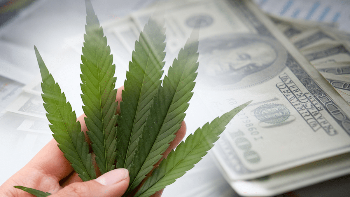 Top U.S. Cannabis Stocks Flourishing in the Last Six Months