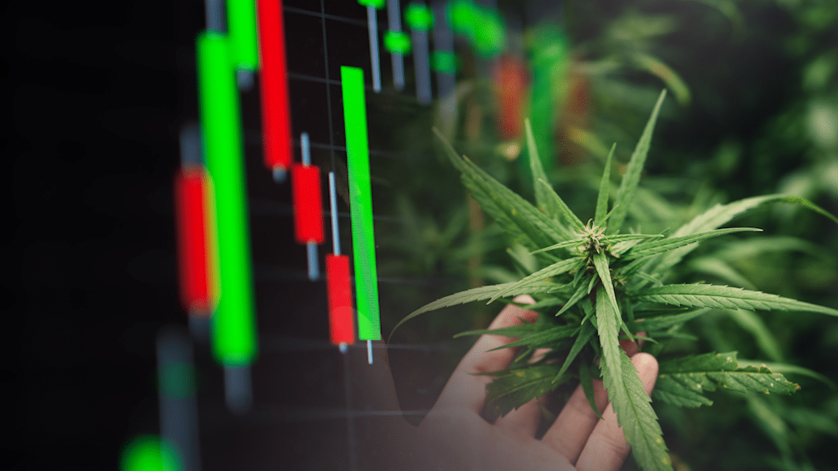 Exploring the Potential of Marijuana Penny Stocks in June 2023