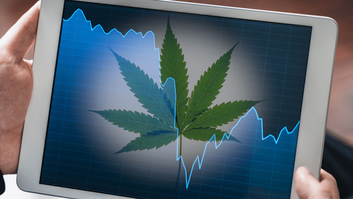 Top Cannabis Stocks To Watch 4th Week Of June