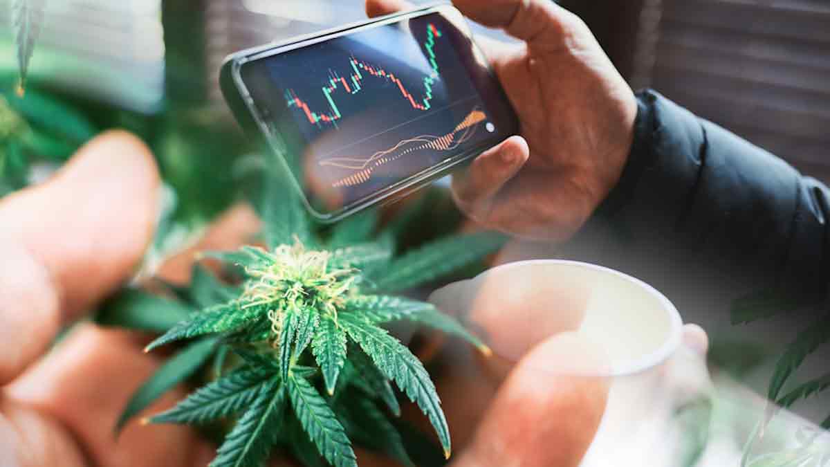 Top Pharmaceutical And Ancillary Cannabis Stocks For June 2023