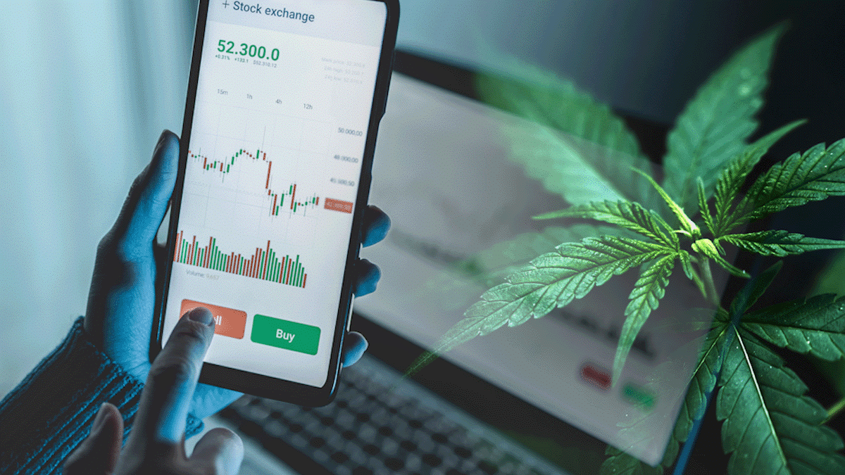 Emerging Leaders in the Canadian Cannabis Industry: Stocks to Watch Today