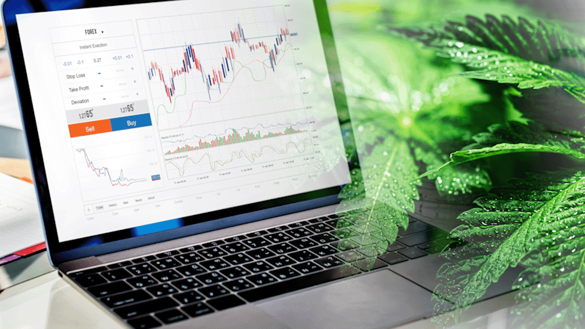 Best Cannabis Stocks For Gains