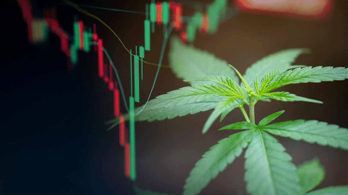Emerging Trends in Canadian Cannabis Stocks: What Investors Need to Know in 2023