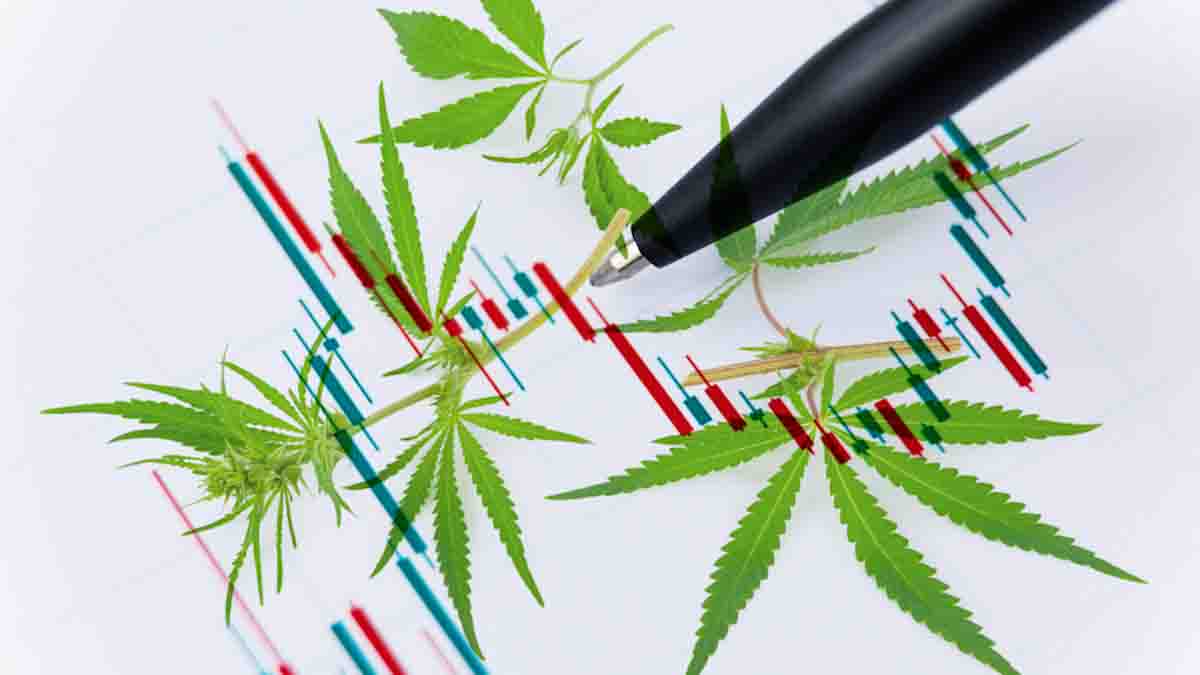 Best Cannabis Stocks To Buy Mid August
