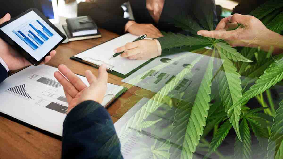Top Cannabis ETFs: Tracking Marijuana Trends and Long-Term Possibilities for 2023