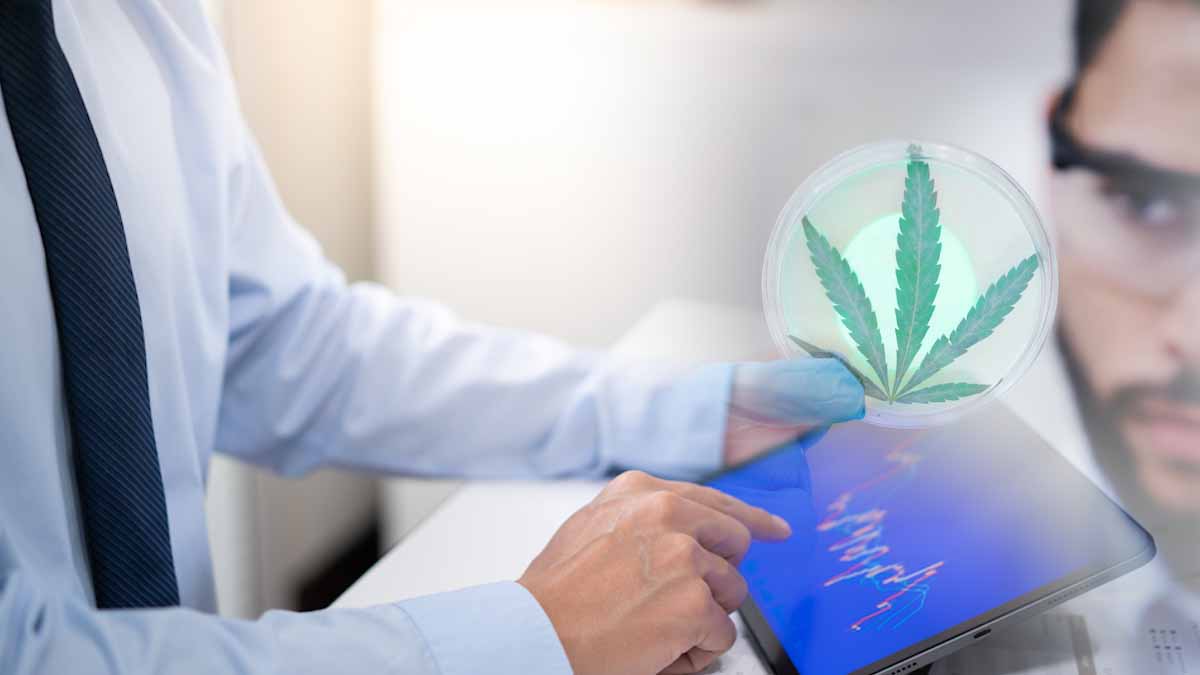 Top Performing Cannabis Penny Stocks Under $1 in the Past Week