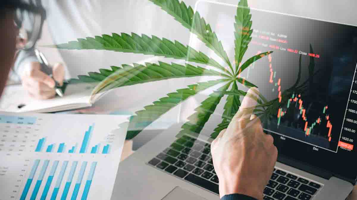 Late September Stock Watchlist: Top Marijuana Stocks to Watch