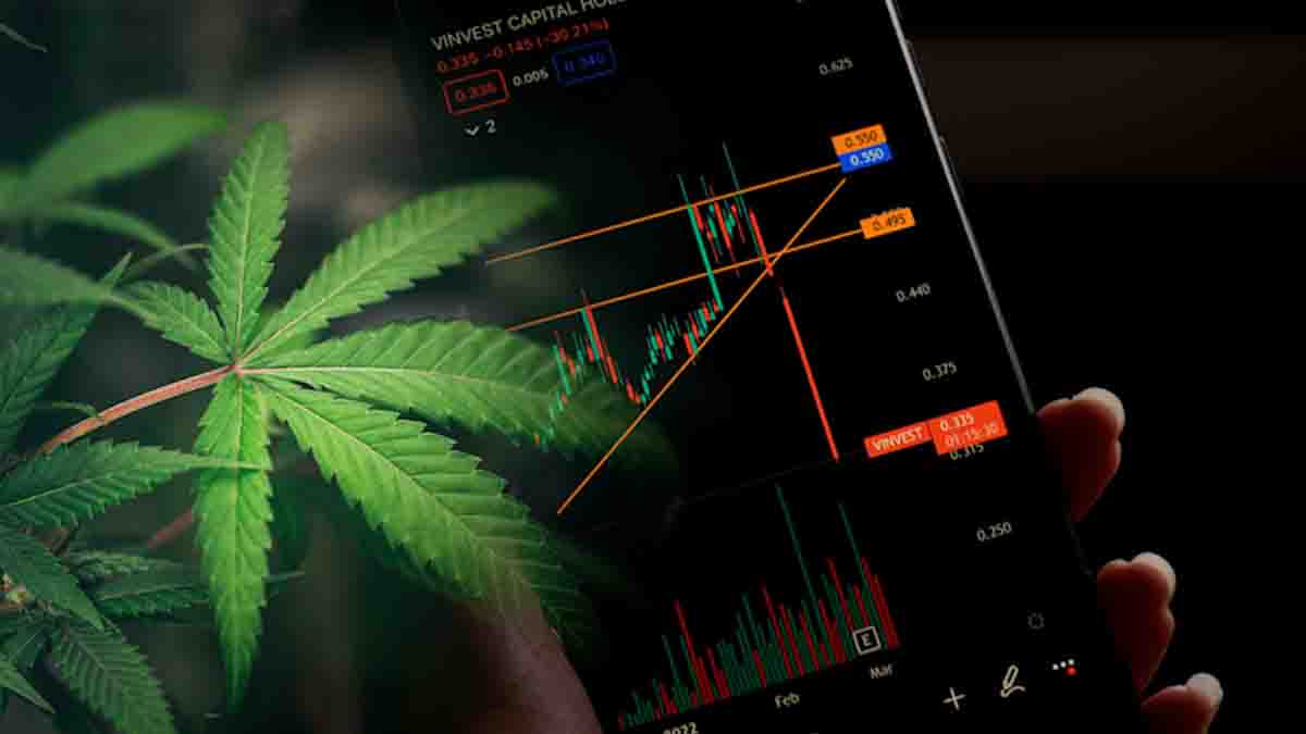 Top US Marijuana Stocks to Watch in October 2023