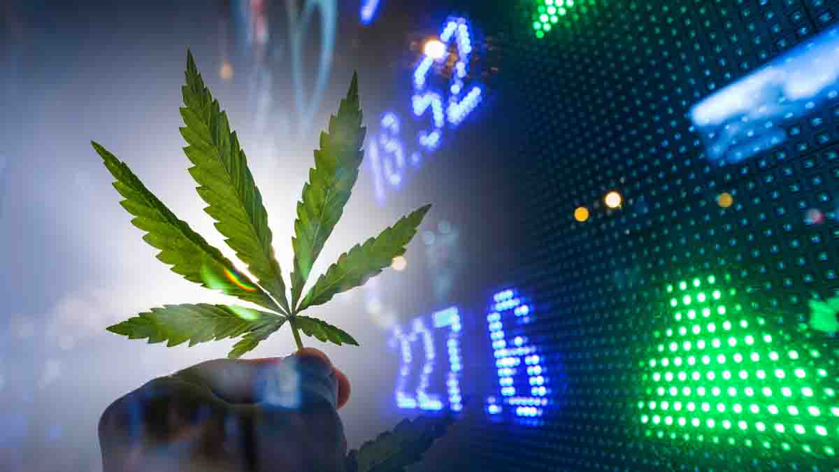 April's Harvest: Top Cannabis REITs for Long-Term Growth