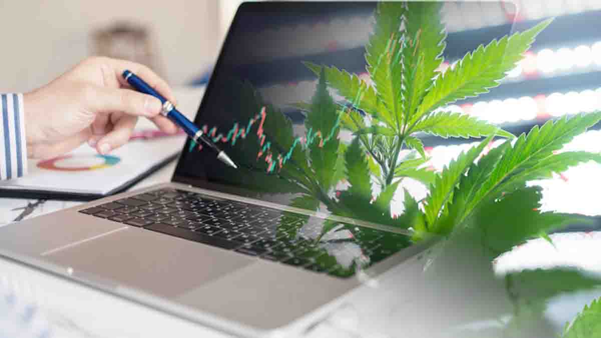 Mid-October 2023 Watchlist: Leading Ancillary Cannabis Stocks