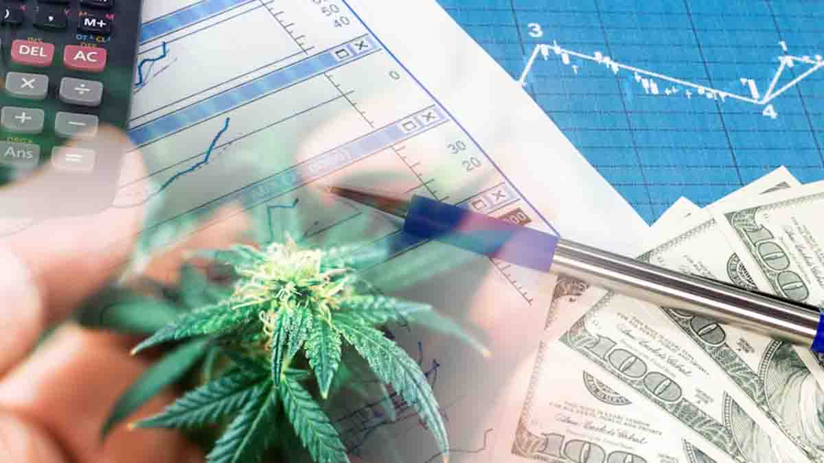 Pot Stocks For Gains Right Now