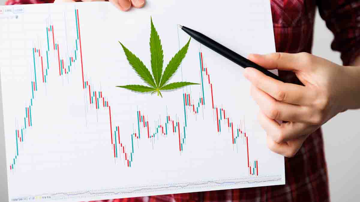 Elevate Your Portfolio: December 2023's Must-Watch US Marijuana Stocks