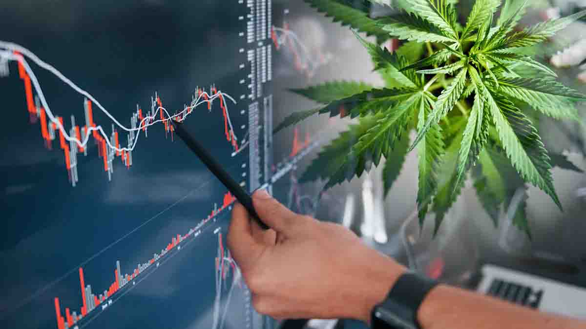 Cannabis Bulls: Top US Marijuana Stocks Blaze a Trail with Strong Weekly Gains