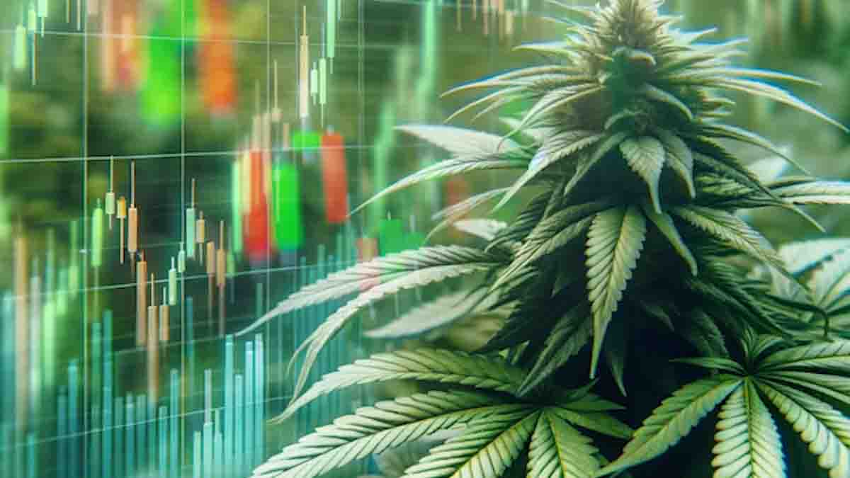 Best Cannabis Stocks For December 2023