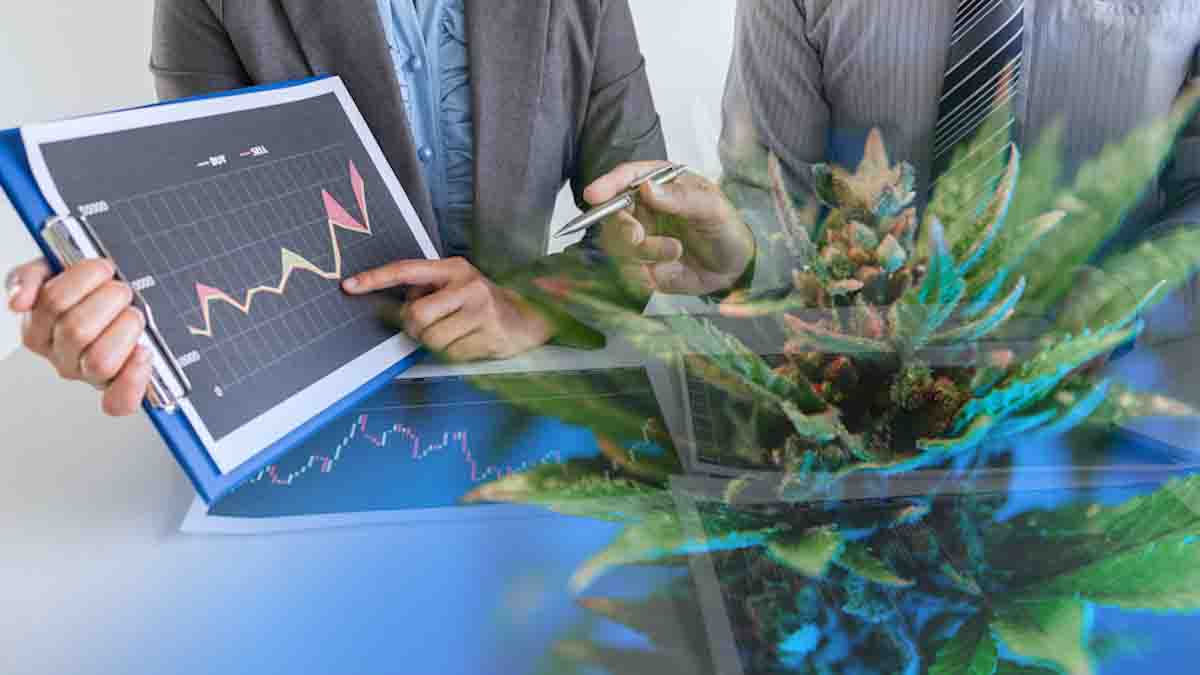 Maximizing Returns: The Top Cannabis REITs for Long-Term Investment Strategies