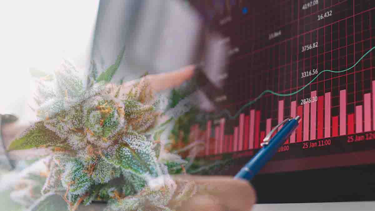 Canadian Cannabis Stocks Set to Soar Right Now